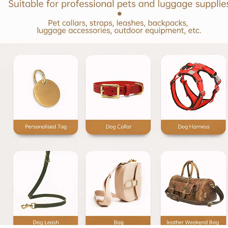 Application overview of swivel lobster clasp snap hooks on dog collars, bags, and outdoor gear.