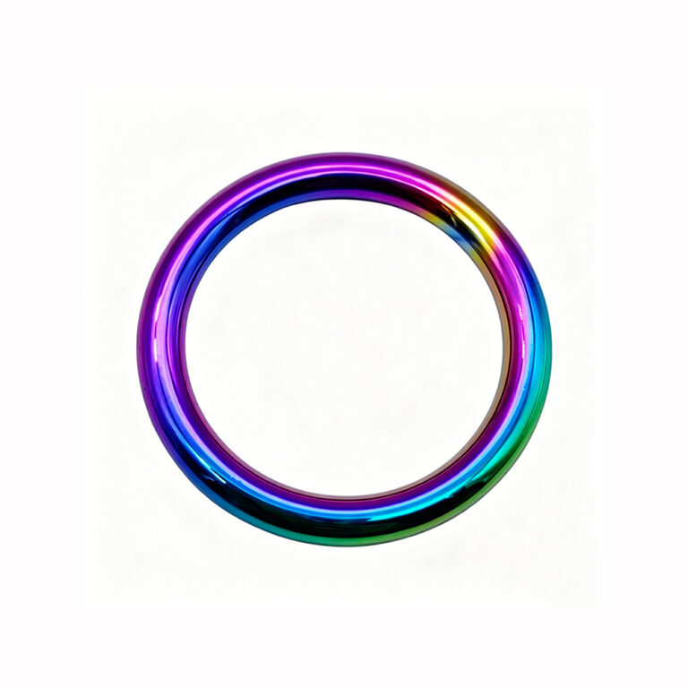 premium-rainbow-metal-o-ring-for-handbags